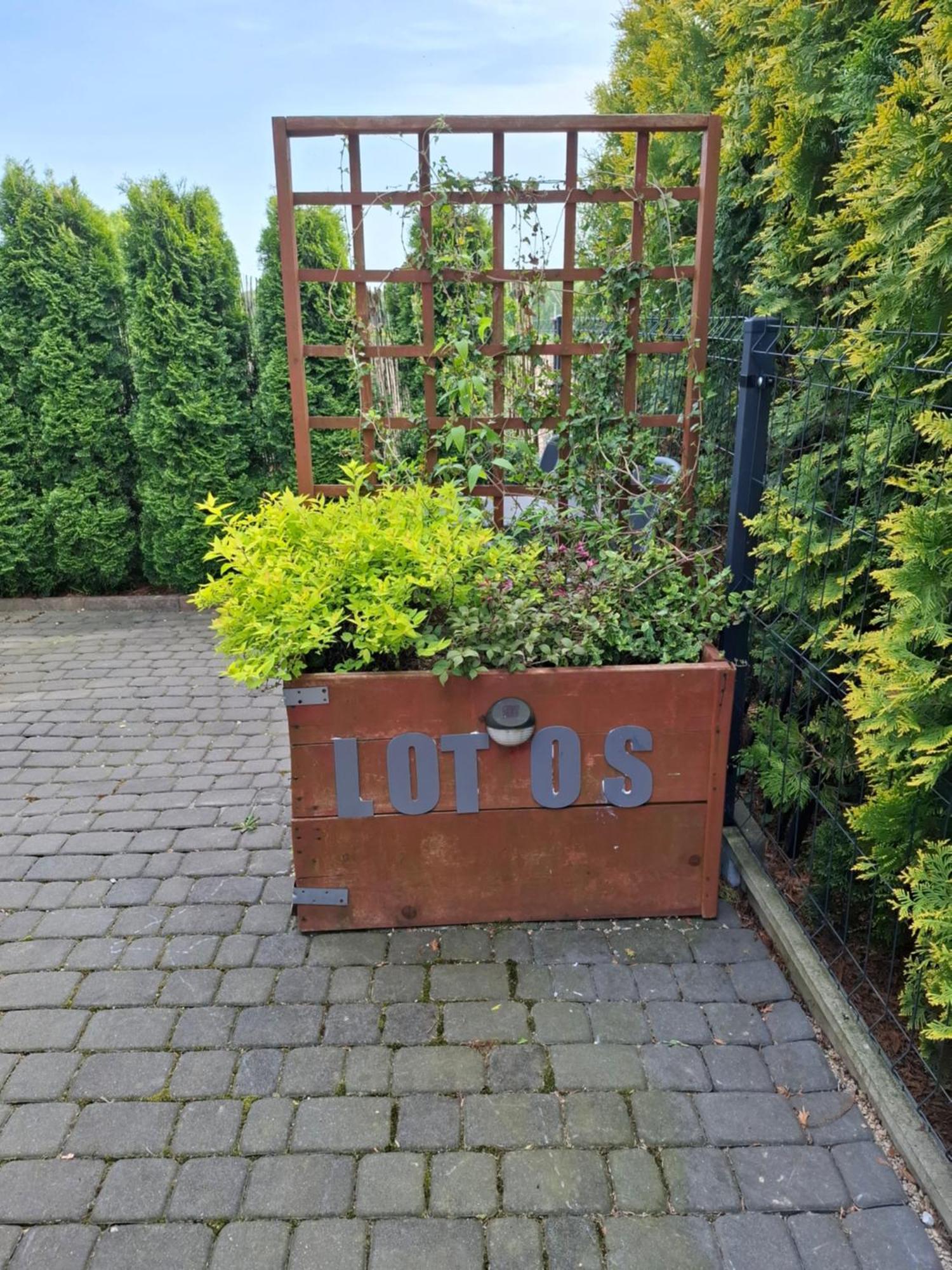 Apartament Lotos Zator Kültér fotó